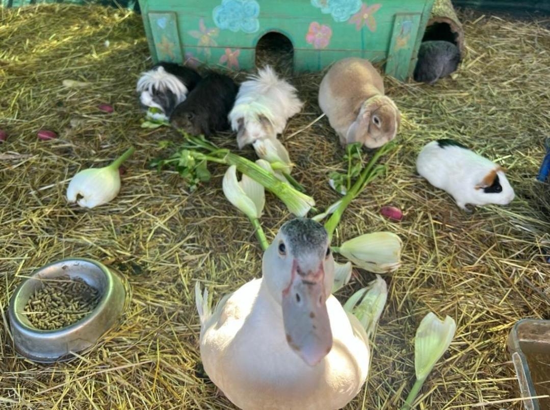 Sejour A La Ferme Villa Jouques Buitenkant foto